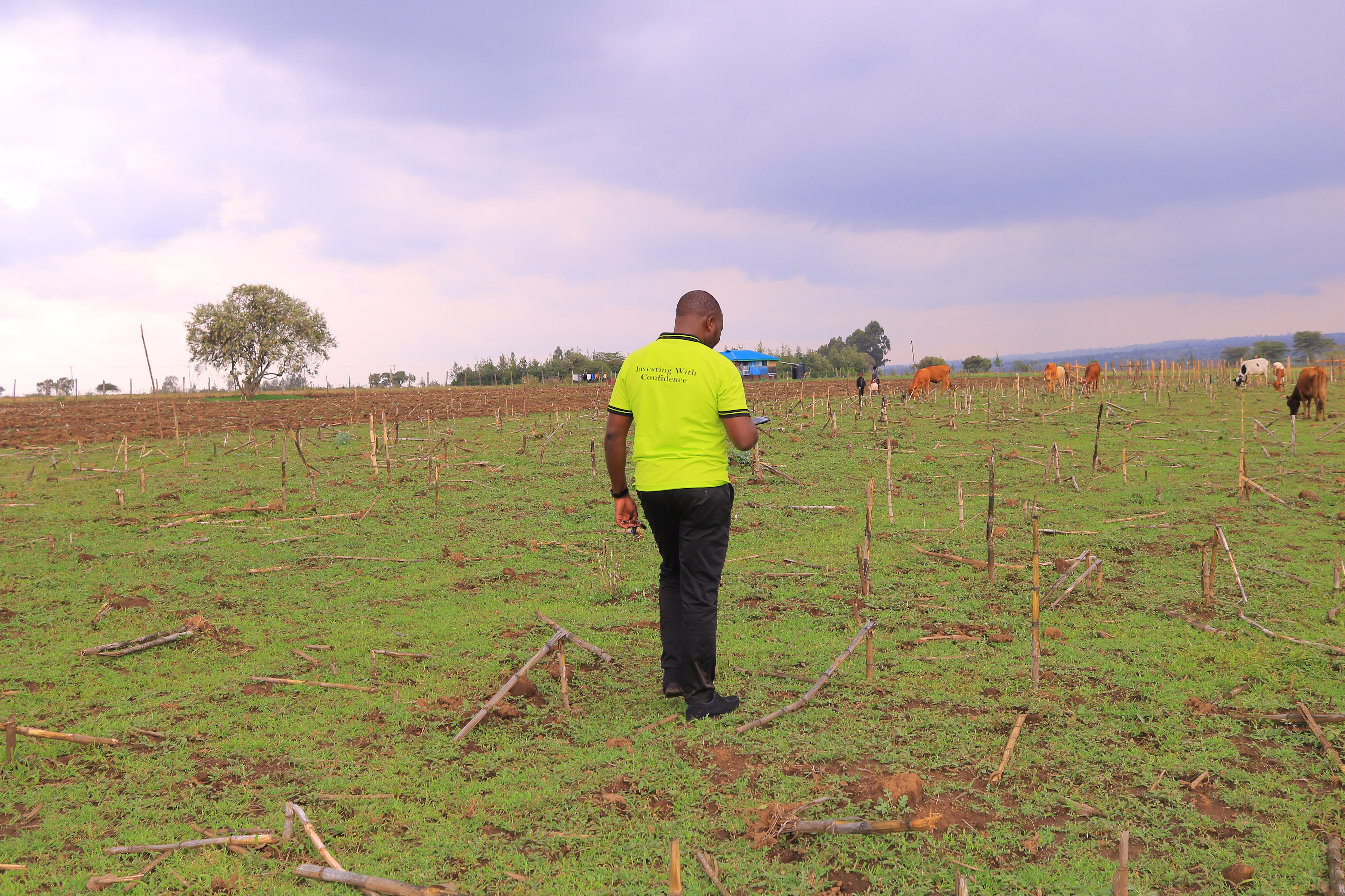 Tulivu Gardens Phase 3 plots for sale in Narok
